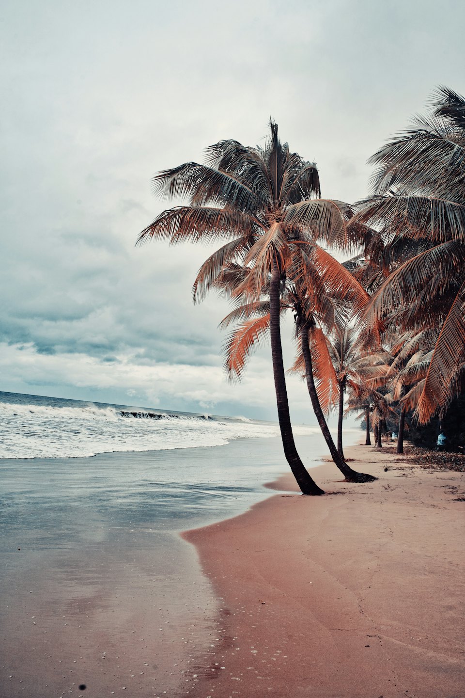 Crashing waves roll onto a sandy beach near curved palm trees.